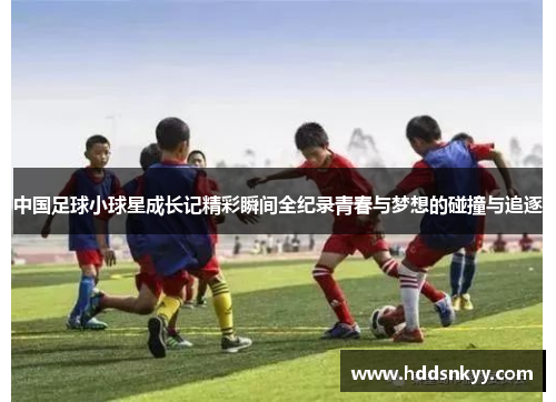 中国足球小球星成长记精彩瞬间全纪录青春与梦想的碰撞与追逐