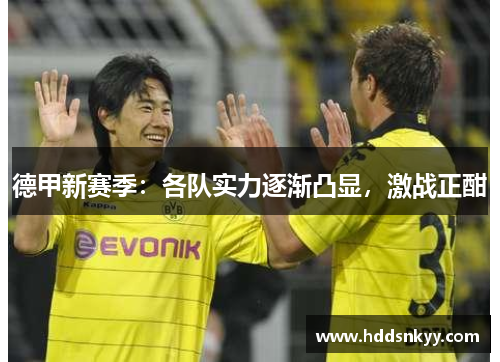 德甲新赛季：各队实力逐渐凸显，激战正酣