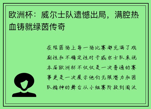 欧洲杯：威尔士队遗憾出局，满腔热血铸就绿茵传奇